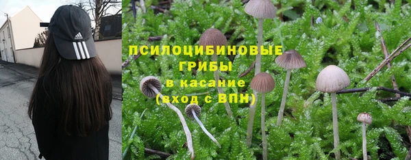 метадон Балахна