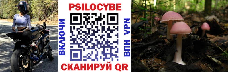 Галлюциногенные грибы MAGIC MUSHROOMS  Белово 